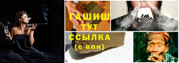 хмурый Белокуриха