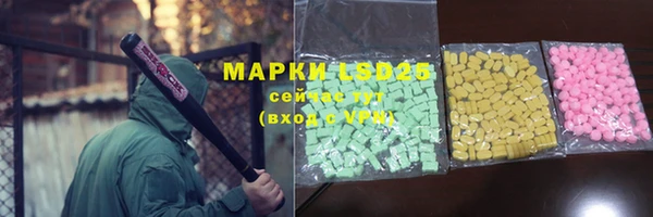 хмурый Белокуриха