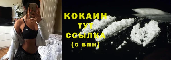 хмурый Белокуриха