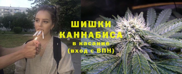 хмурый Белокуриха