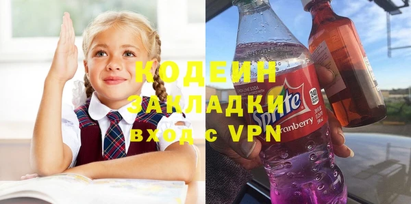 хмурый Белокуриха