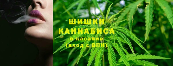 прущие грибы Ростов