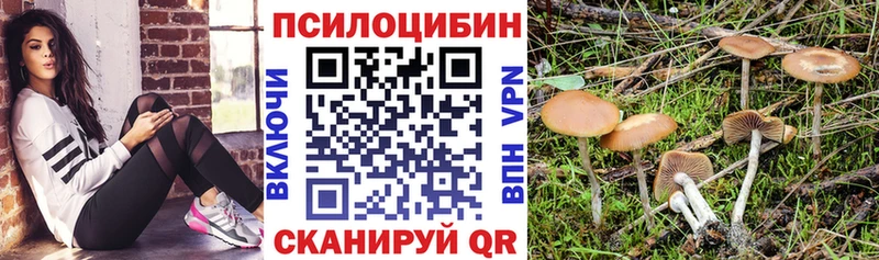 Галлюциногенные грибы Magic Shrooms  Славгород 