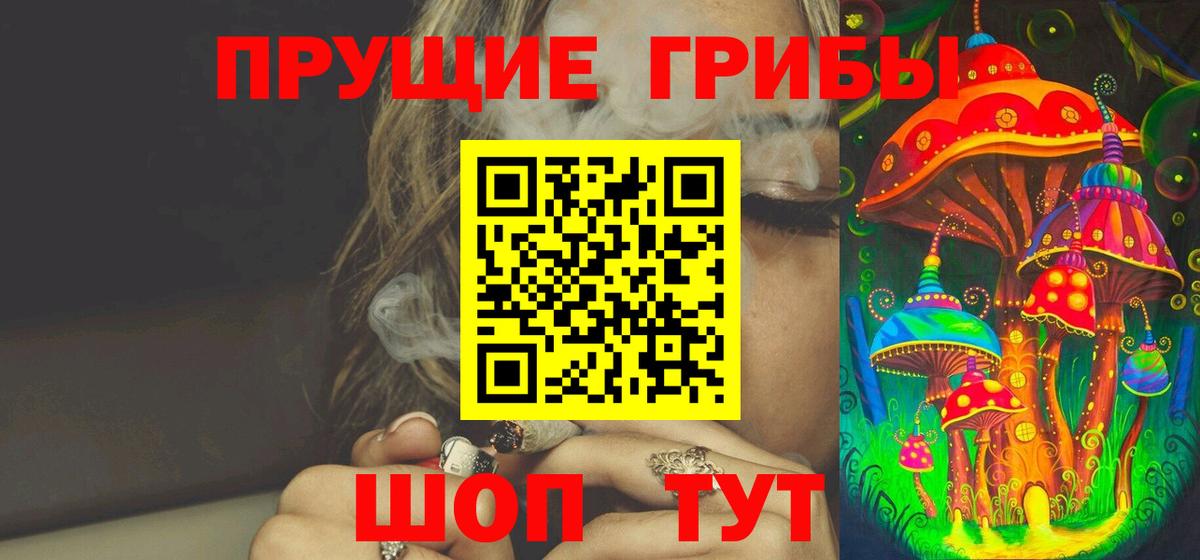 Галлюциногенные грибы Psilocybe  Вход с VPN  Славгород 